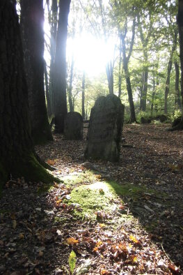Zsidó temető - régi, Častá-5