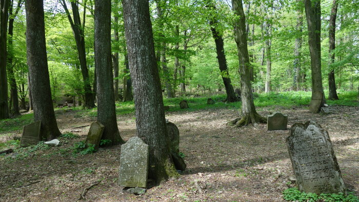 Zsidó temető - régi, Častá-2