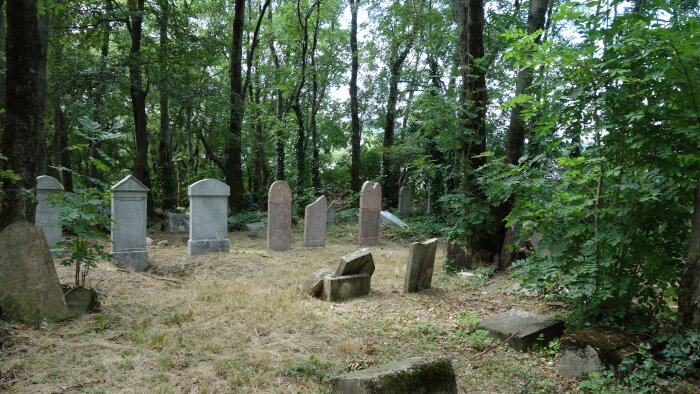 Zsidó temető - új, Častá-4