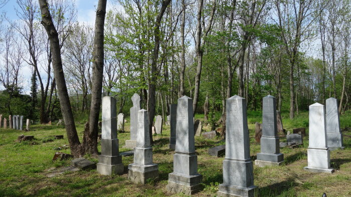 Židovský cintorín, nový - Častá-5