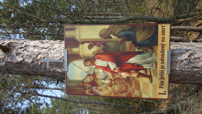 Stations of the Cross in Boričky - Dechtice-4
