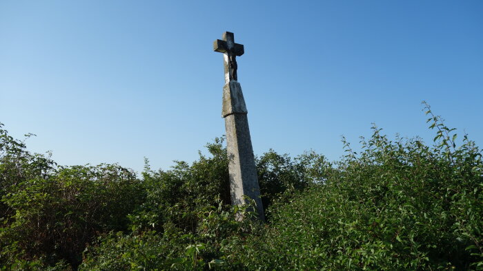 Cross in the vineyard - Common-1