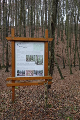 Naturschutzgebiet Hajdúchy, Častá-6