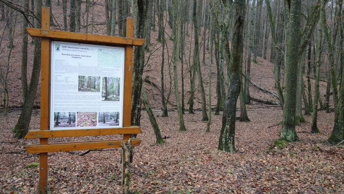 Národní přírodní rezervace Hajduch, Častá-5