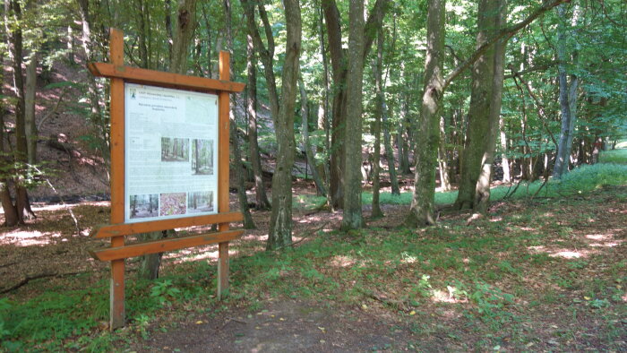 Národní přírodní rezervace Hajduch, Častá-2
