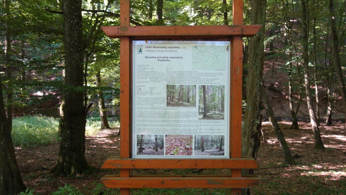 Národní přírodní rezervace Hajduch, Častá-4