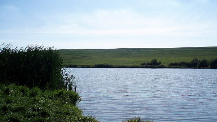 Vrbovský rybník-1