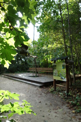 Educational trail Recreation area Kamenný mlyn - Trnava-4