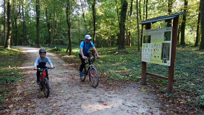 Educational trail Recreation area Kamenný mlyn - Trnava-3