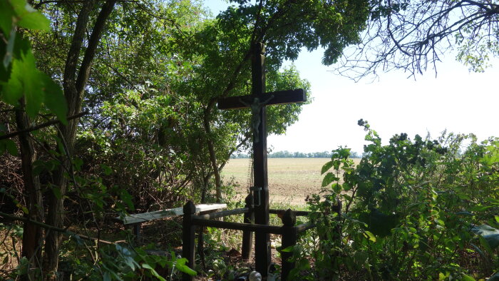 Dřevěný kříž v katastru - Vištuk-1