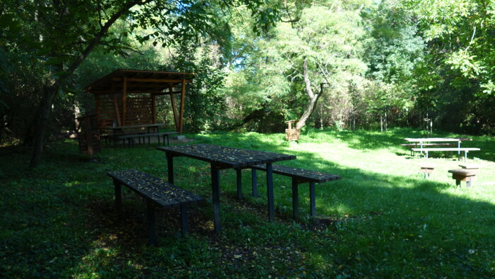 Ecopark - Zvončín-5