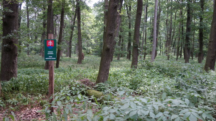 Prírodná rezervácia Lindava - Budmerice-4