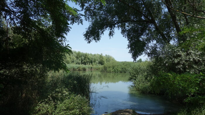 Prírodná rezervácia Alúvium Gidry - Budmerice-4