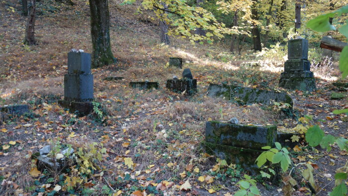 Židovský cintorín -Smolenice-1
