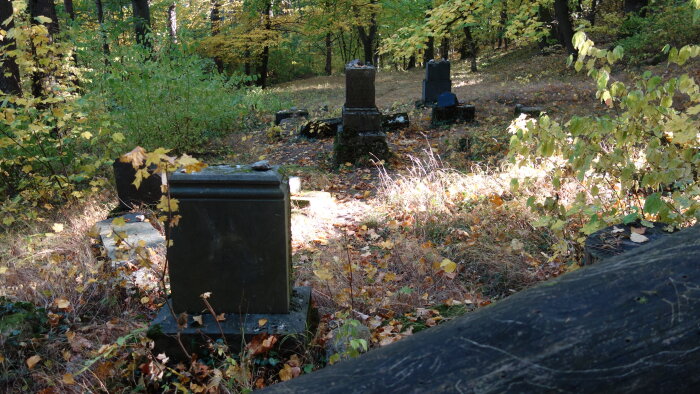Židovský hřbitov - Smolenice-5