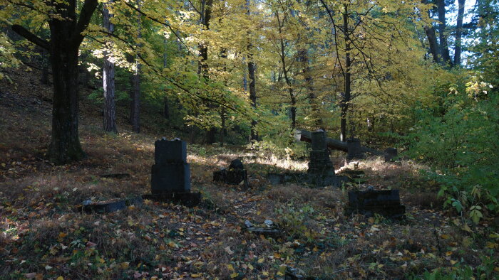Židovský hřbitov - Smolenice-7
