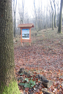 Educational trail Smolenický kras - Smolenice-7